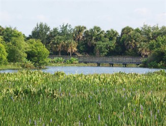 Wetlands